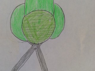 image11