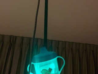 bekerlamp