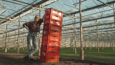 Verticale landbouw