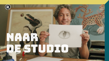 Raoul Deleo - naar de studio