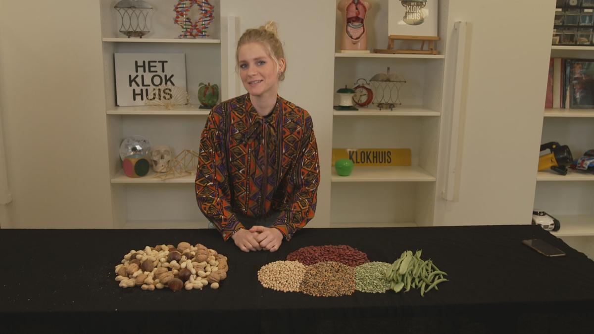 NTR Het Klokhuis Uitzending Pindaallergie