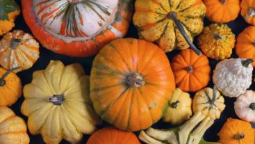 herfst oktober 2023