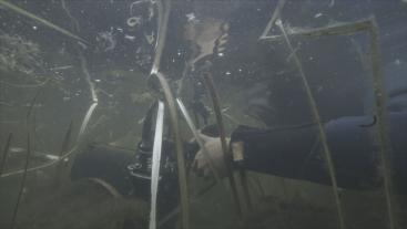Onderwaterfilm