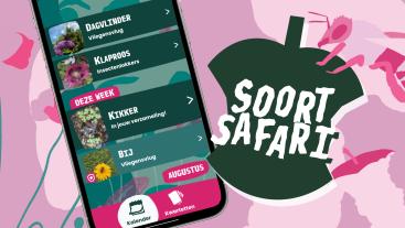 Een logo van een appel en de tekst SoortSafari in zomerse kleuren. Er is een telefoon met een kalender vol met dier- en plantensoorten.