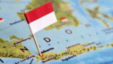 indo