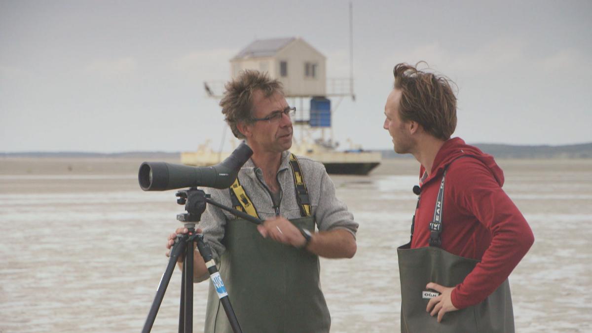 NTR | Het Klokhuis - Werelderfgoed - Werelderfgoed: Waddenzee